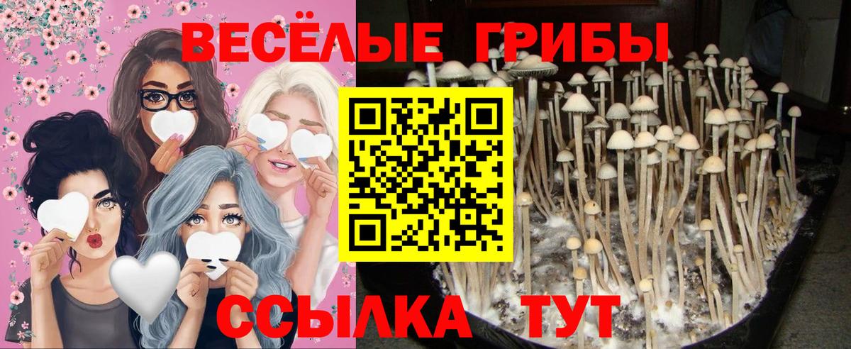 Псилоцибиновые грибы MAGIC MUSHROOMS  Вход с VPN  Артёмовский 